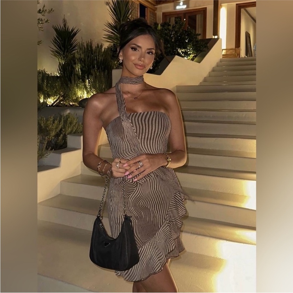 Zebra dress